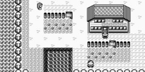 Biancavilla (Pallet Town - マサラタウン Masera Taun